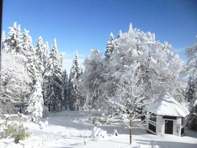 Pension Haus Am Waldesrand Oberhof  Buitenkant foto